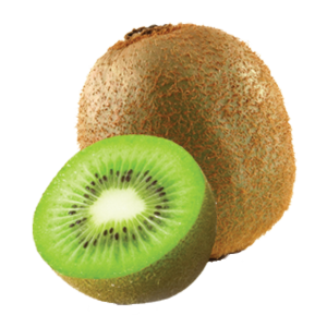Immagine Actinidia