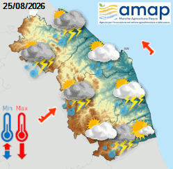Previsioni