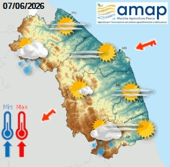 Previsioni