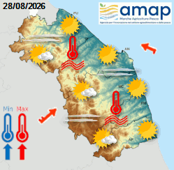 Previsioni