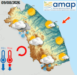 Previsioni