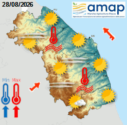 Previsioni